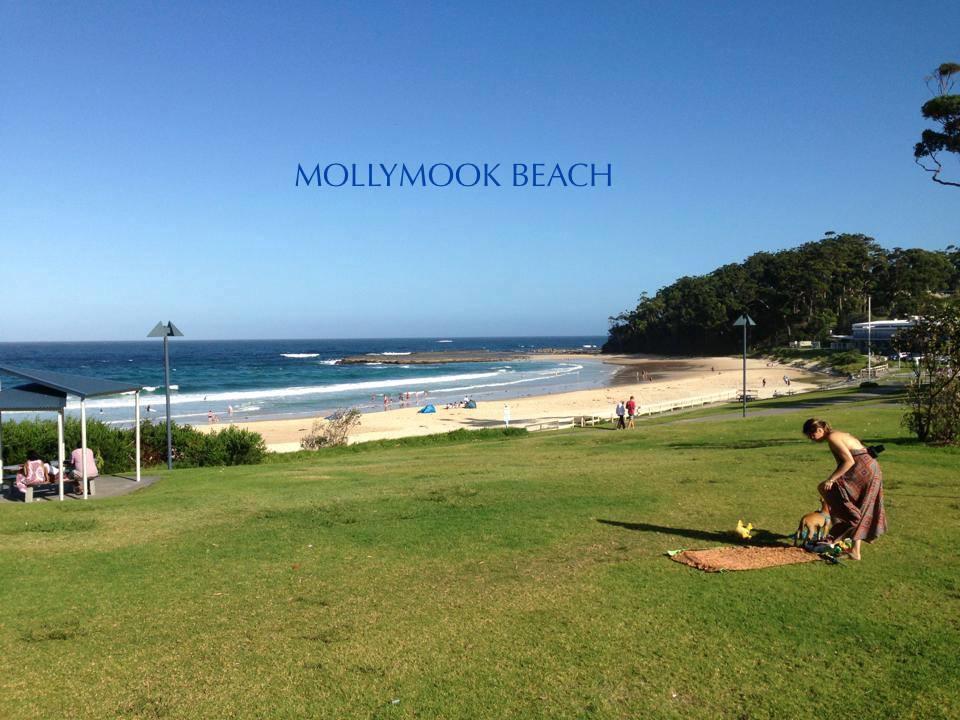 Motel Beach House Mollymook Exteriér fotografie